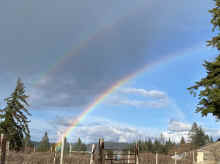 IMG_5930_80.jpg (479437 bytes)