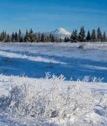 P3011055_60.jpg (423827 bytes)