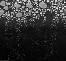 P3081062_60.jpg (831565 bytes)