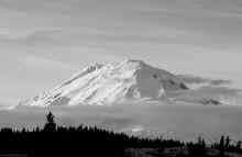 P3141078_60.jpg (295602 bytes)