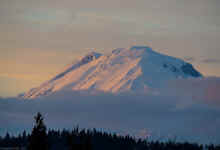 P3141084_60.jpg (254362 bytes)