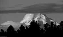 P3211103_80.jpg (410917 bytes)