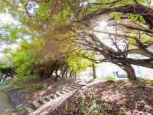 P3251152_60.jpg (1677894 bytes)