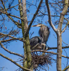 P3251153_80.jpg (590832 bytes)