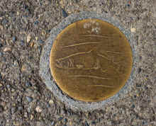 P3251186_80.jpg (1342308 bytes)