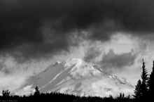 P3301241_60.jpg (294704 bytes)