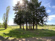 IMG_6141_90.jpg (1340473 bytes)