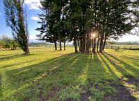 IMG_6212.JPG (1942955 bytes)