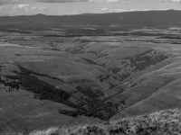 P5240458_60.jpg (689148 bytes)