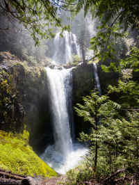 P6010575_60.jpg (1394515 bytes)