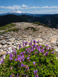 P6221043_60.jpg (1084532 bytes)