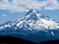 P6221044_60.jpg (522303 bytes)