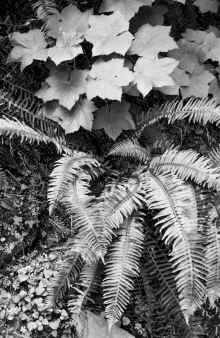 P7201604.jpg (6220567 bytes)