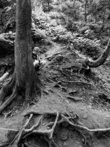 P7201610.jpg (12483922 bytes)