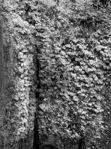 P7201626.jpg (13616889 bytes)