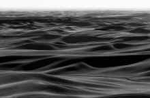 P8110597_60.jpg (555809 bytes)