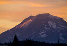 P8170684_50.jpg (164275 bytes)