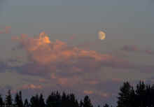 P8270732_50.jpg (168969 bytes)