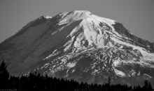 PA051150-2_60.jpg (443314 bytes)