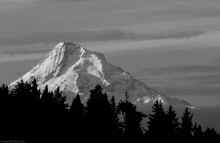 PA131336_60.jpg (285034 bytes)