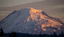 PA180180_60.jpg (332386 bytes)