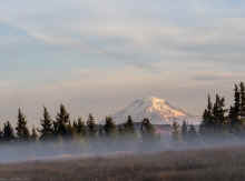 PA210325_60.jpg (342268 bytes)