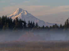 PA210337_60.jpg (497036 bytes)