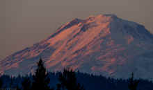 PA290456_60.jpg (302212 bytes)