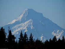 PB080553_60.jpg (308027 bytes)