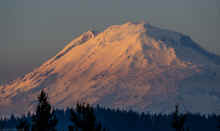 PB140666_60.jpg (311674 bytes)