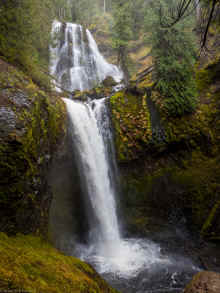 PB220776_60.jpg (963004 bytes)