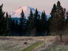 PB260950_60.jpg (802397 bytes)