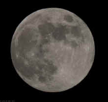 PB260953.jpg (310899 bytes)