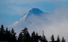 PC231007_60.jpg (274894 bytes)