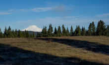 PC231012_60.jpg (503739 bytes)