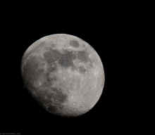 PC231019.jpg (267004 bytes)