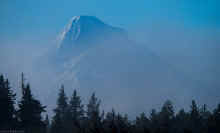 PC311035_60.jpg (259201 bytes)