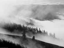 PC311071_60.jpg (297335 bytes)