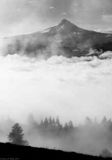 PC311107_60.jpg (238836 bytes)