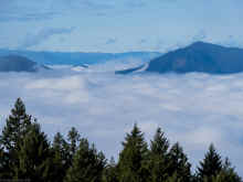 PC311109_60.jpg (507628 bytes)