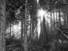 PC311173_60.jpg (1214505 bytes)