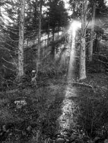 PC311179_60.jpg (1338197 bytes)