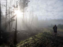 PC311194_60.jpg (547508 bytes)