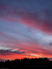 PC311206_60.jpg (229409 bytes)