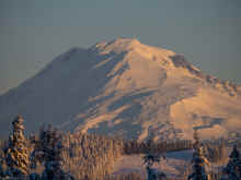 P1151241_60.jpg (445319 bytes)