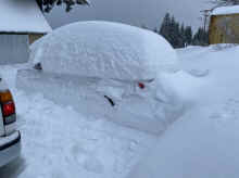 IMG_7870_60.jpg (236589 bytes)