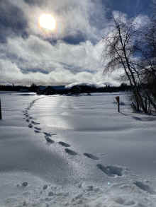 IMG_7900_60.jpg (626307 bytes)