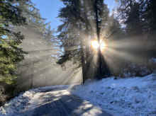 IMG_7904_60.jpg (626583 bytes)