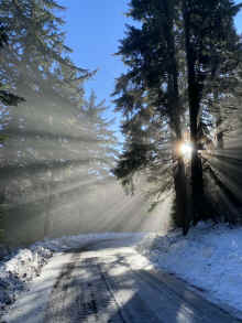 IMG_7906_60.jpg (655717 bytes)