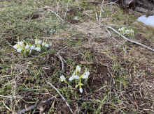 IMG_8035_60.jpg (1174821 bytes)